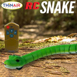 RC Snake