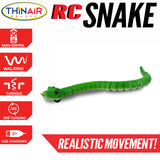 RC Snake