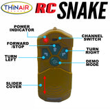 RC Snake