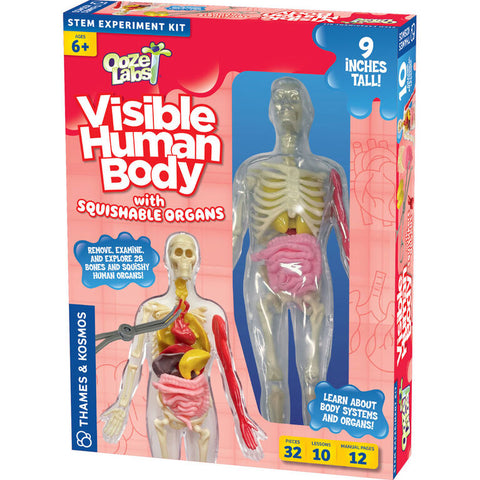 Visible Human Body Experiment Kit
