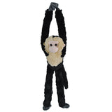 Hanging Monkey Capuchin