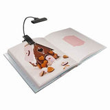 Moon Beam Clip On Reading Light