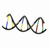 Genetics & DNA Lab Experiments Kit