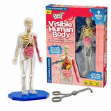 Ooze Labs Visible Human Body w/ Squishable Organs Kit