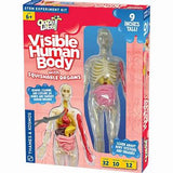 Ooze Labs Visible Human Body w/ Squishable Organs Kit