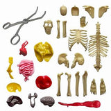 Ooze Labs Visible Human Body w/ Squishable Organs Kit