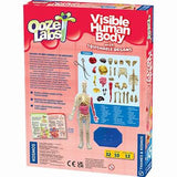 Ooze Labs Visible Human Body w/ Squishable Organs Kit