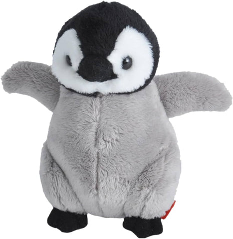 CK Playful Penguin
