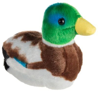 Audubon Mallard Duck
