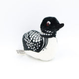 Audubon Common Loon