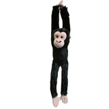 Hanging Monkey Chimpanzee