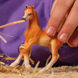 Schleich Arabian Foal