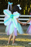 Great Pretenders Butterfly Dress w/ Wings & Wand 5-6