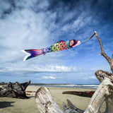 5' Spectrum Koi Fish Windsock