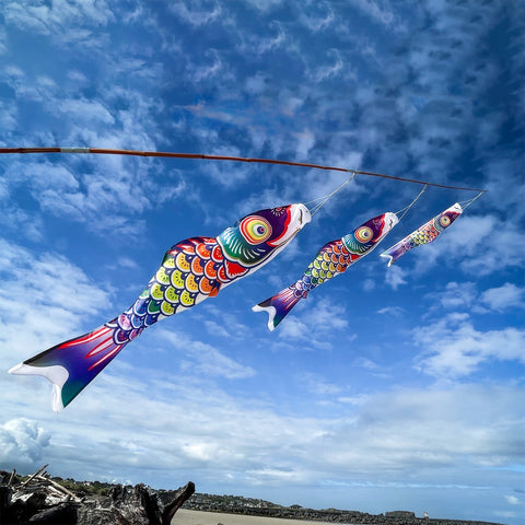 5' Spectrum Koi Fish Windsock