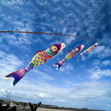 3' Spectrum Koi Fish Windsock