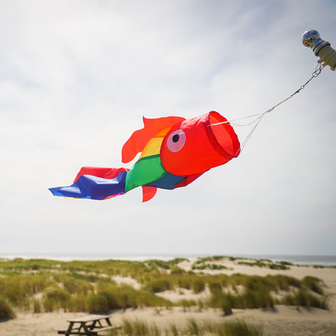 30" Rainbow Damsel Fish Windsock