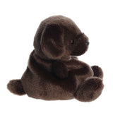 Palm Pals Sienna Chocolate Lab