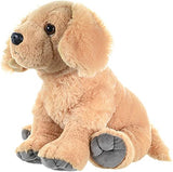 CK Golden Retriever Plush