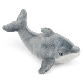 CK Lil's Dolphin