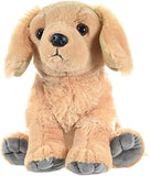 CK Golden Retriever Plush