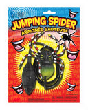 Jumping Spider