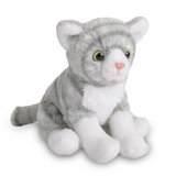 Pocketkins Gray Tabby Cat