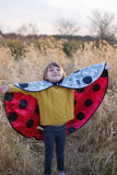 Great Pretenders Colour A Cape Ladybug 4-7